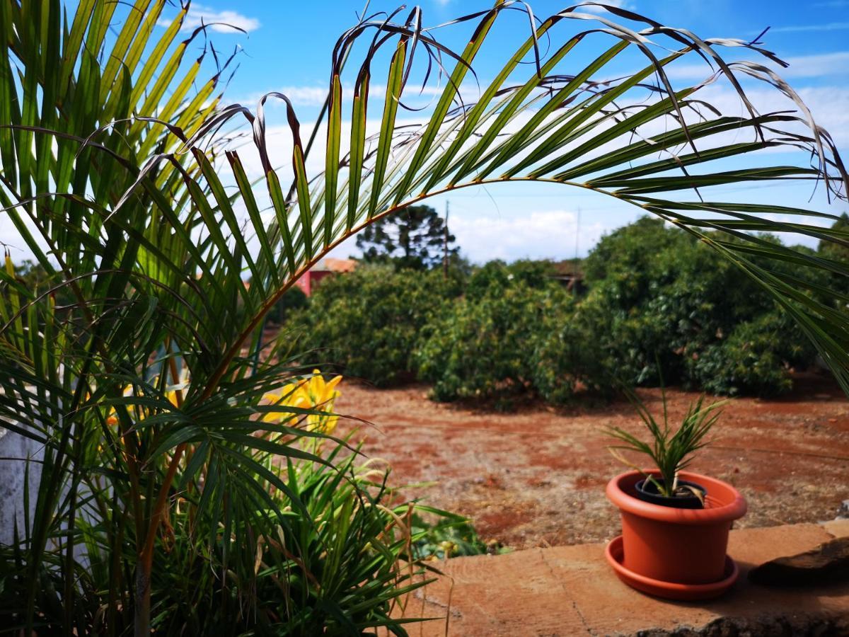 Pino Redondo Villa Puntagorda  Bagian luar foto