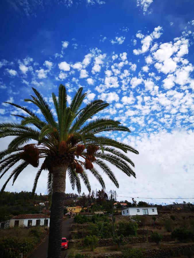 Pino Redondo Villa Puntagorda  Bagian luar foto