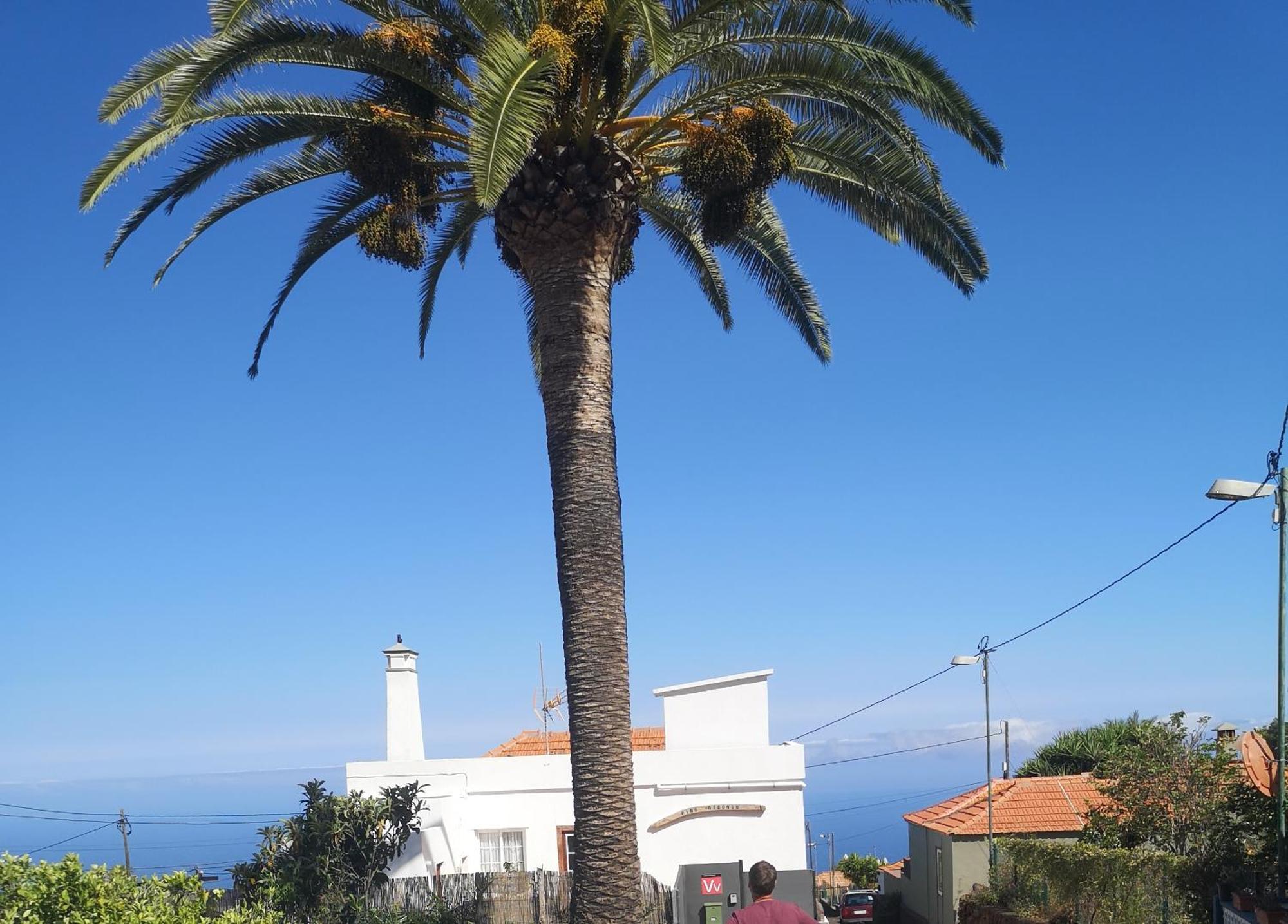 Pino Redondo Villa Puntagorda  Bagian luar foto